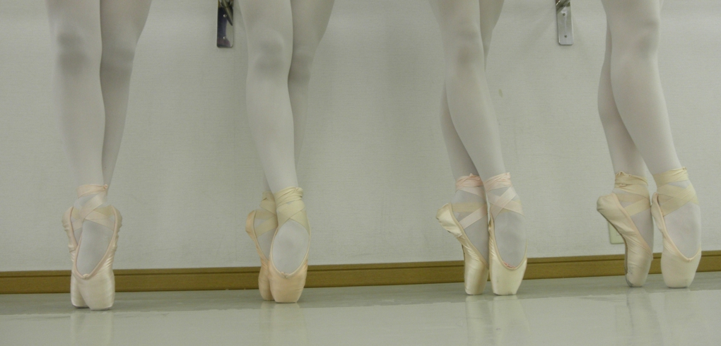 p1010398.jpg